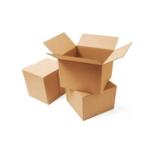 CAJA CARTON ACANALADO 30 x 20 x 20