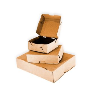 CAJA KRAFT P/EMPANADA P/6 X10