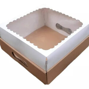 CAJA BLANCA MICRO C/VISOR 30X30X12